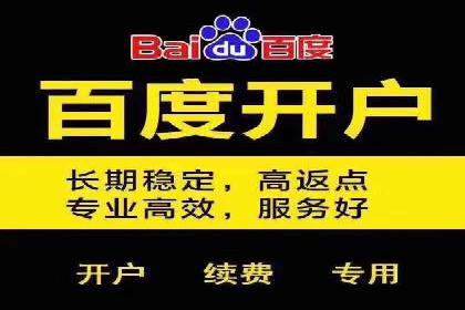 百度推广平台操作指南：案例解析，轻松上手
